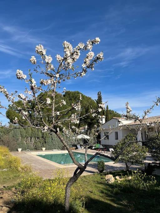 Вилла Casa Galiana. Архес Экстерьер фото